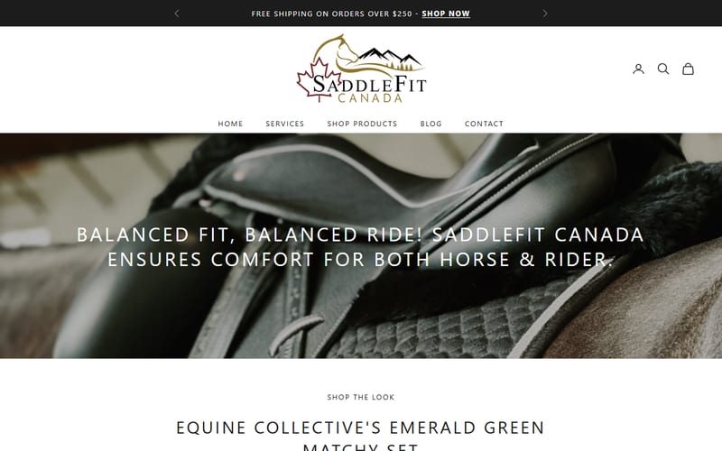 Saddle Fit Canada